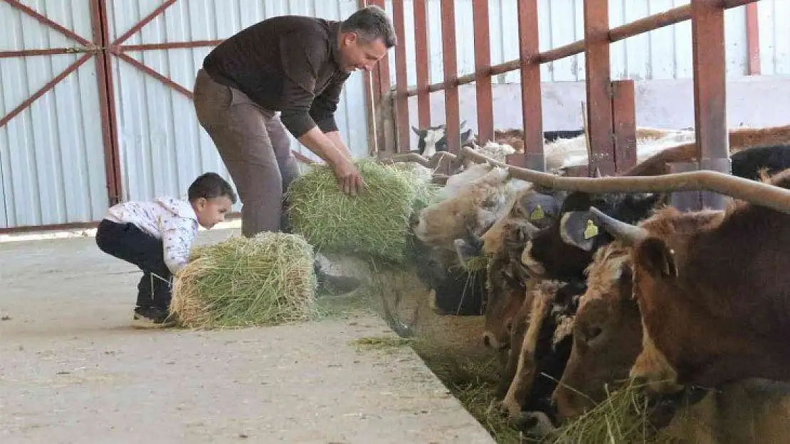 'Hayal bile edemezdik' diyen muhtar, TKDK'dan aldığı destek ile köyünü tavuk ve besi çiftliğine döndürdü