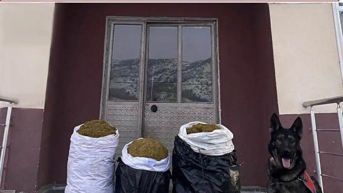 Yaba'dan kaçıramadılar