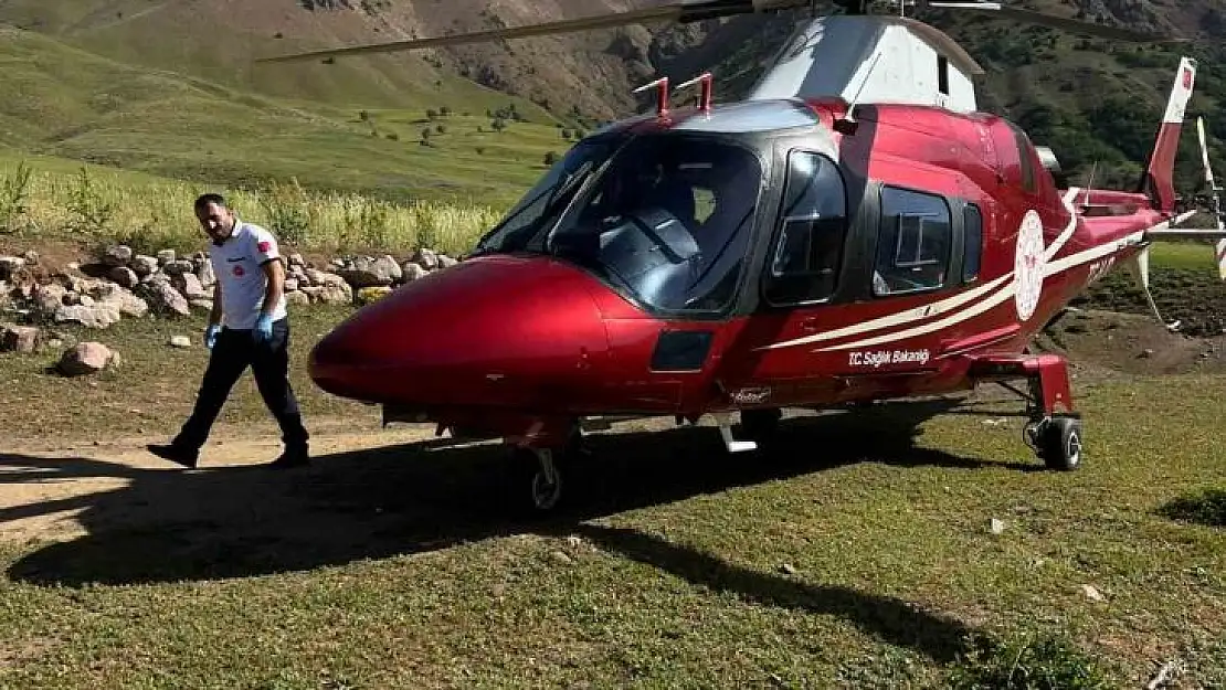 Arı sokması sonucu bilinç kaybı yaşayan hasta, ambulans helikopterle Erzurum'a sevk edildi