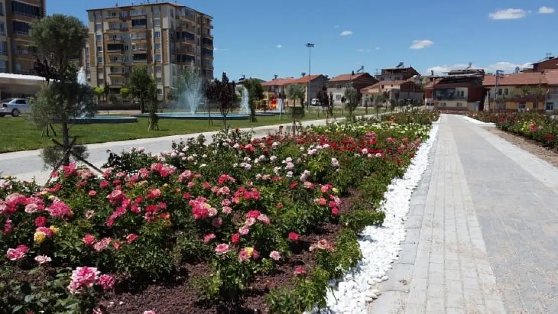 Battalgazi'deki gül bahçesinde sona yaklaşıldı