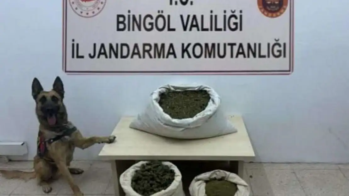 Bingöl'de 6 arazide uyuşturucu madde ele geçirildi