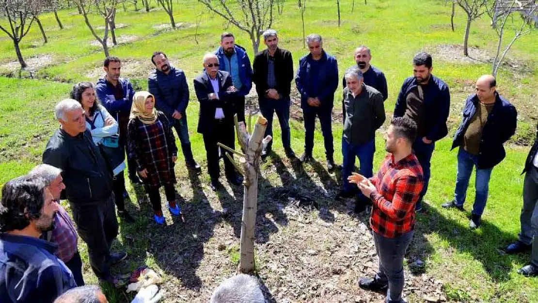 Bingöl'de ağaç budama ve aşılama eğitimi başladı