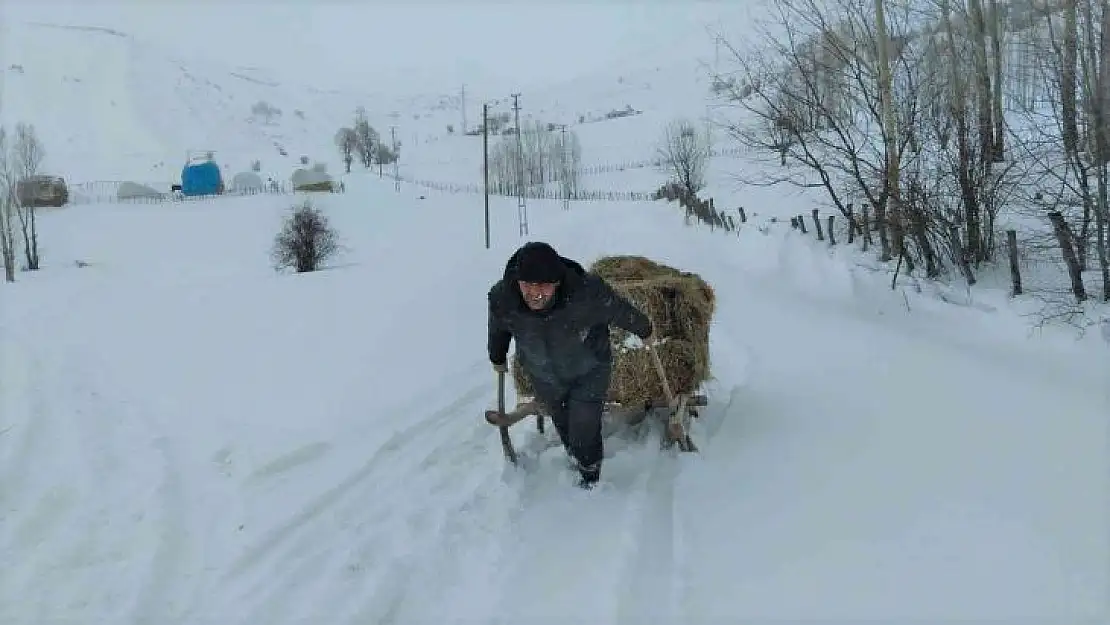 Bingöl'de besicilerin çetin kış şartlarına rağmen zorlu mesaisi sürüyor