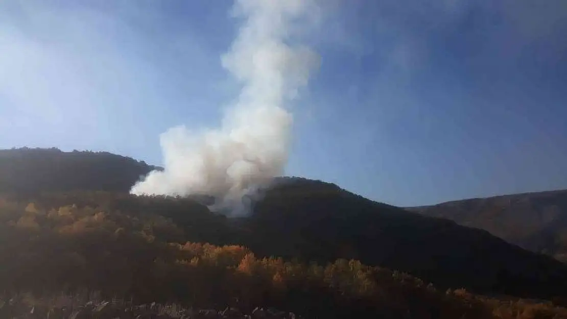 Bingöl'de çıkan orman yangını kontrol altına alındı