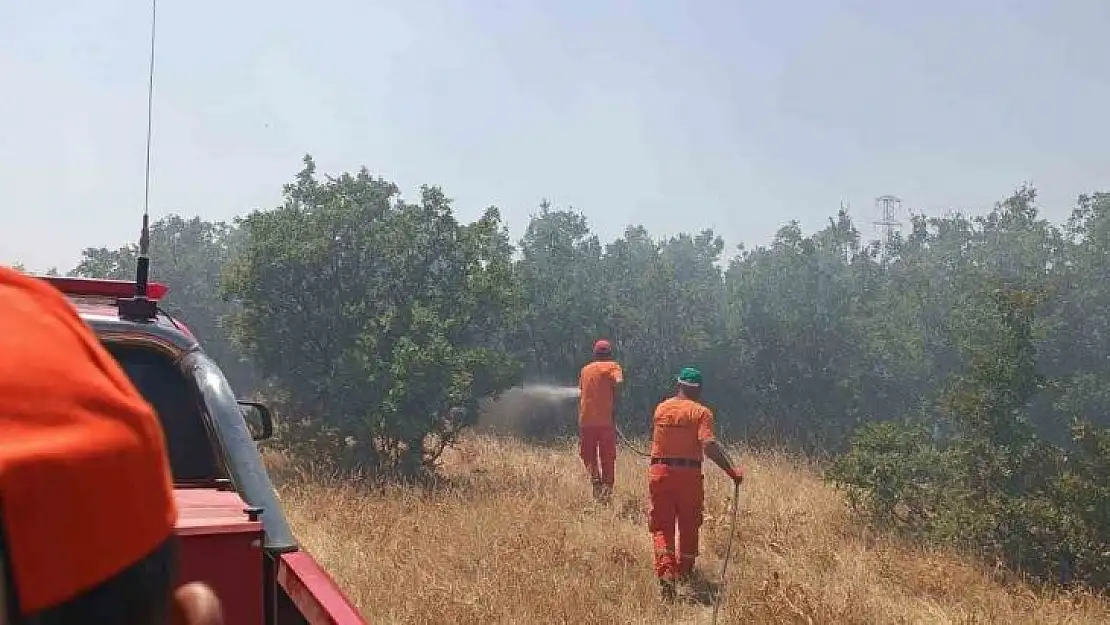 Bingöl'de çıkan orman yangını büyümeden söndürüldü