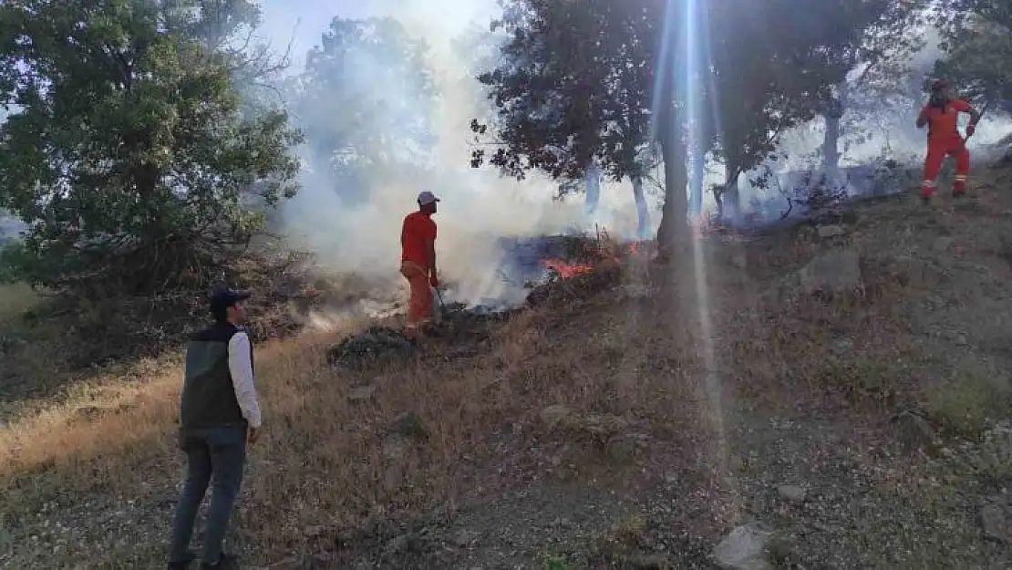 Bingöl'de iki ayrı bölgede çıkan yangınlar söndürüldü