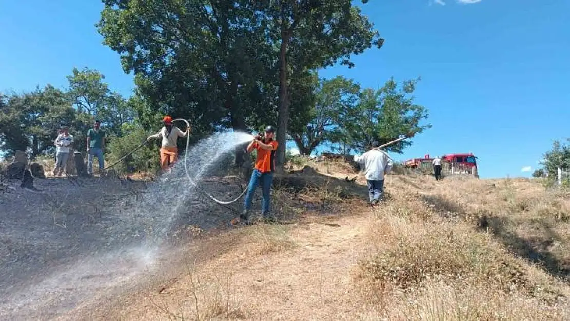 Bingöl'de kırsal alanda çıkan yangın ormana sıçramadan söndürüldü