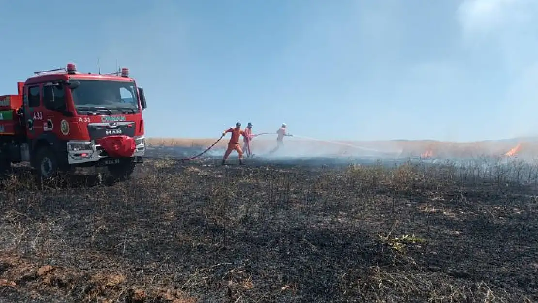 Bingöl'de yaklaşık 100 dönümlük tarım alanı yandı