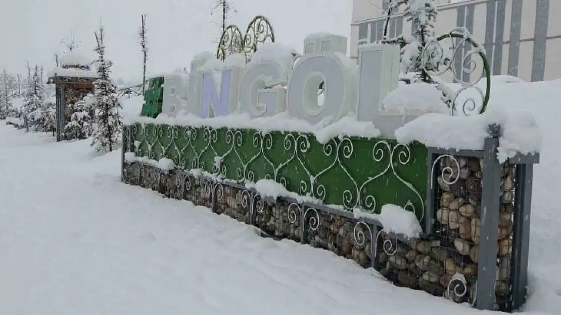 Bingöl kar kalınlığı 40 santime ulaştı: 283 köy yolu kapandı