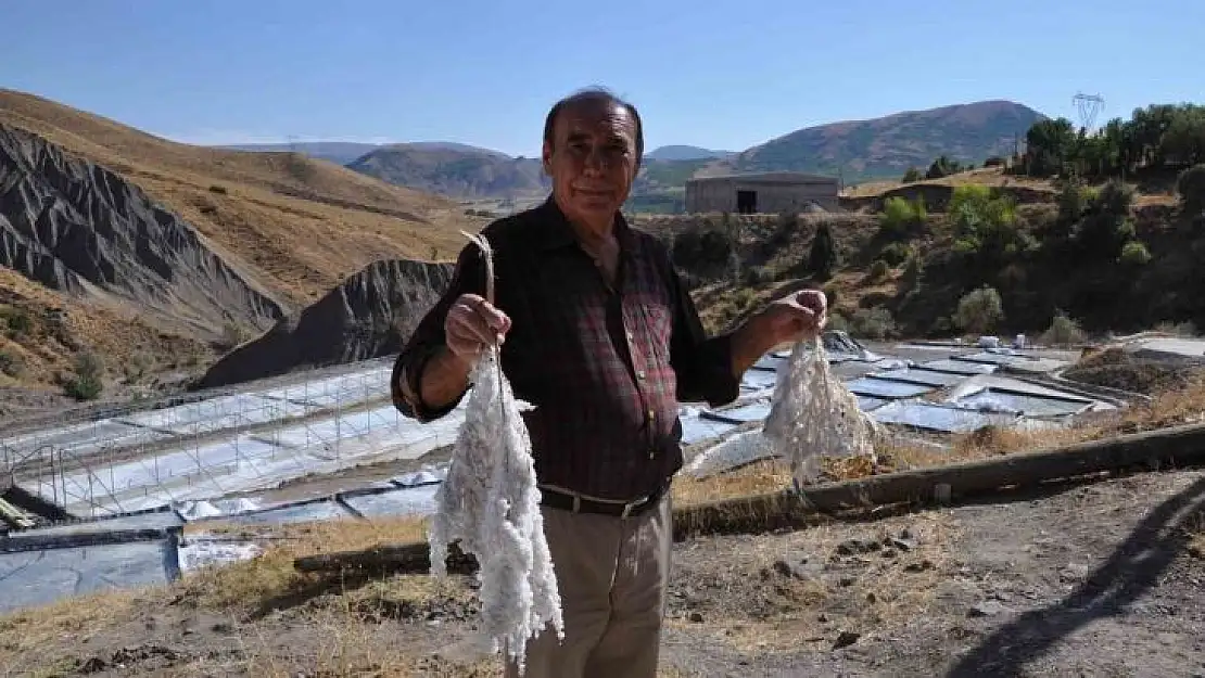 Bu tuzlar üretildiği şekliyle tüketiliyor