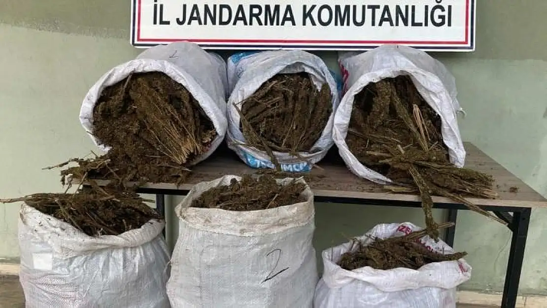 Diyarbakır'da 121 kilo esrar ele geçirildi