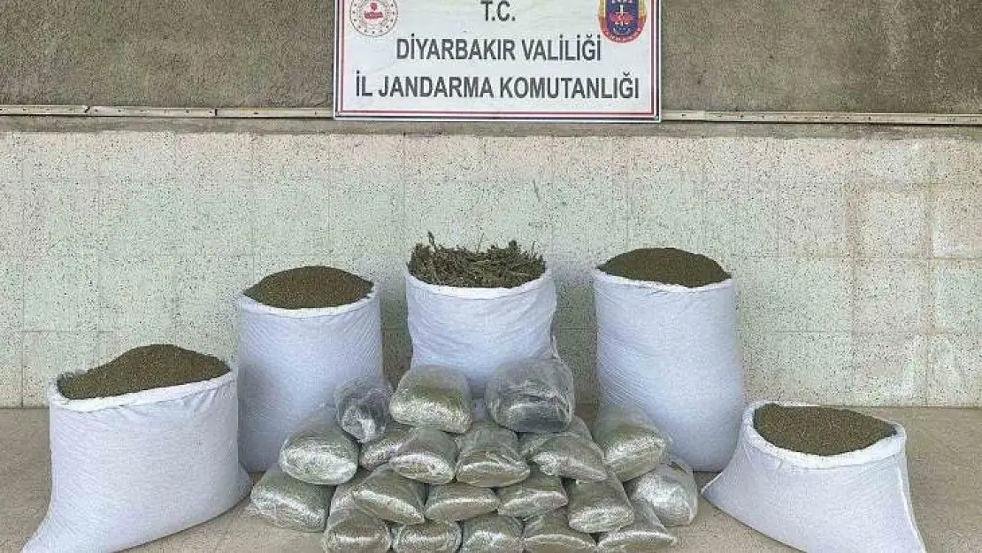 Diyarbakır'da 173 kilo esrar ele geçirildi