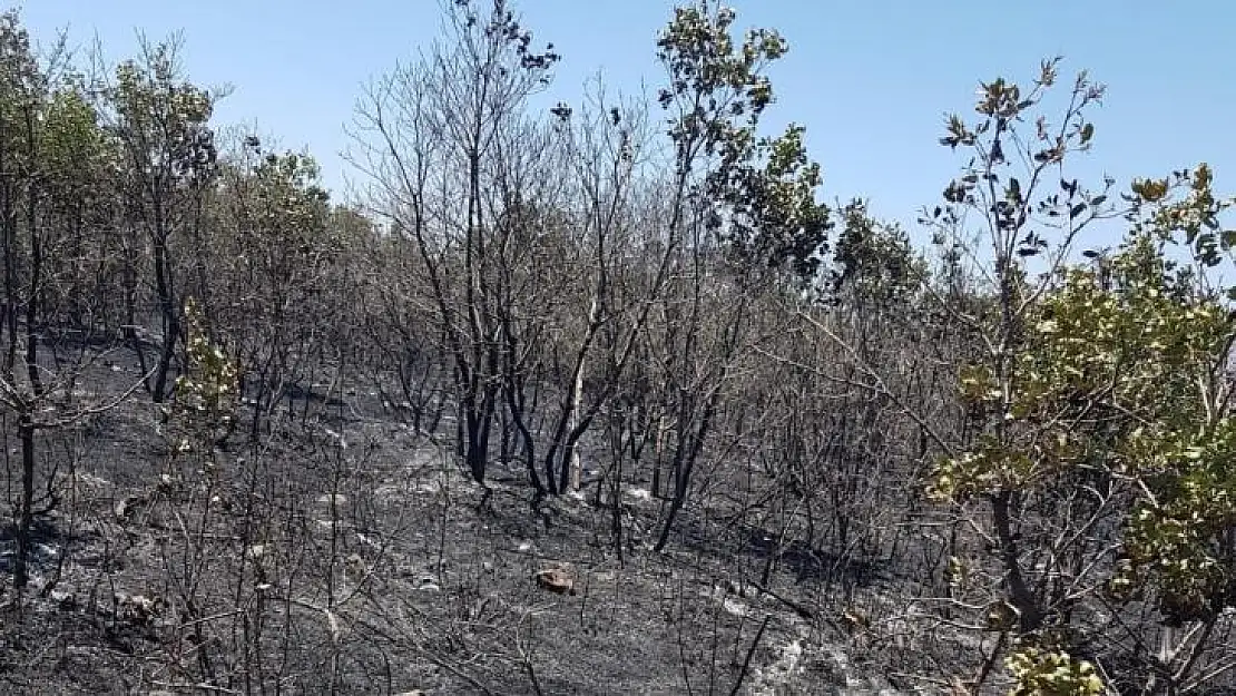 Diyarbakır'da 18 saattir devam eden yangın kontrol altına alındı