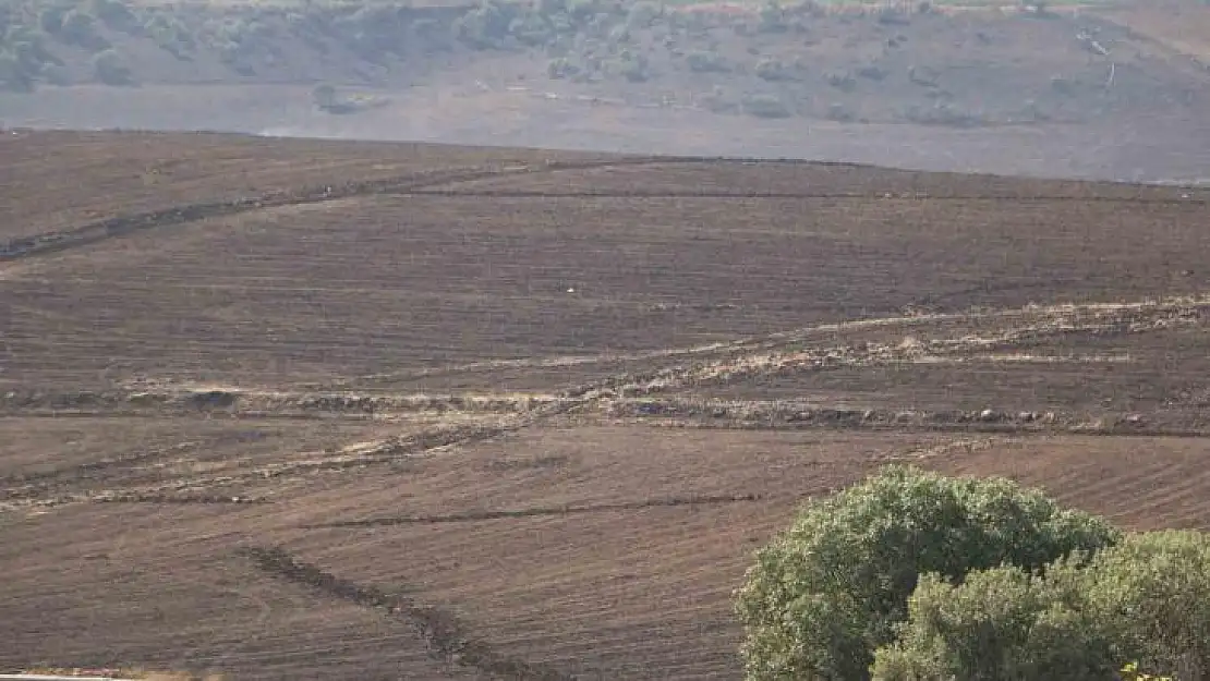 Örtü yangınının boyutu gün ağarınca ortaya çıktı