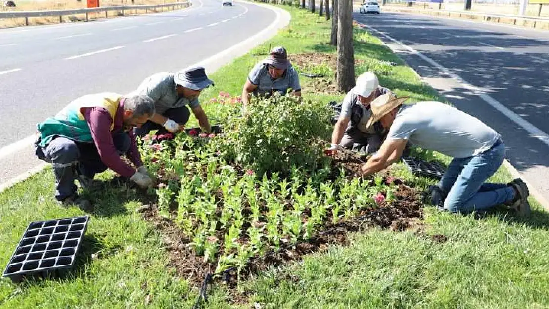 Diyarbakır'da 32 bin mevsimlik çiçek refüj ve kavşaklara dikildi