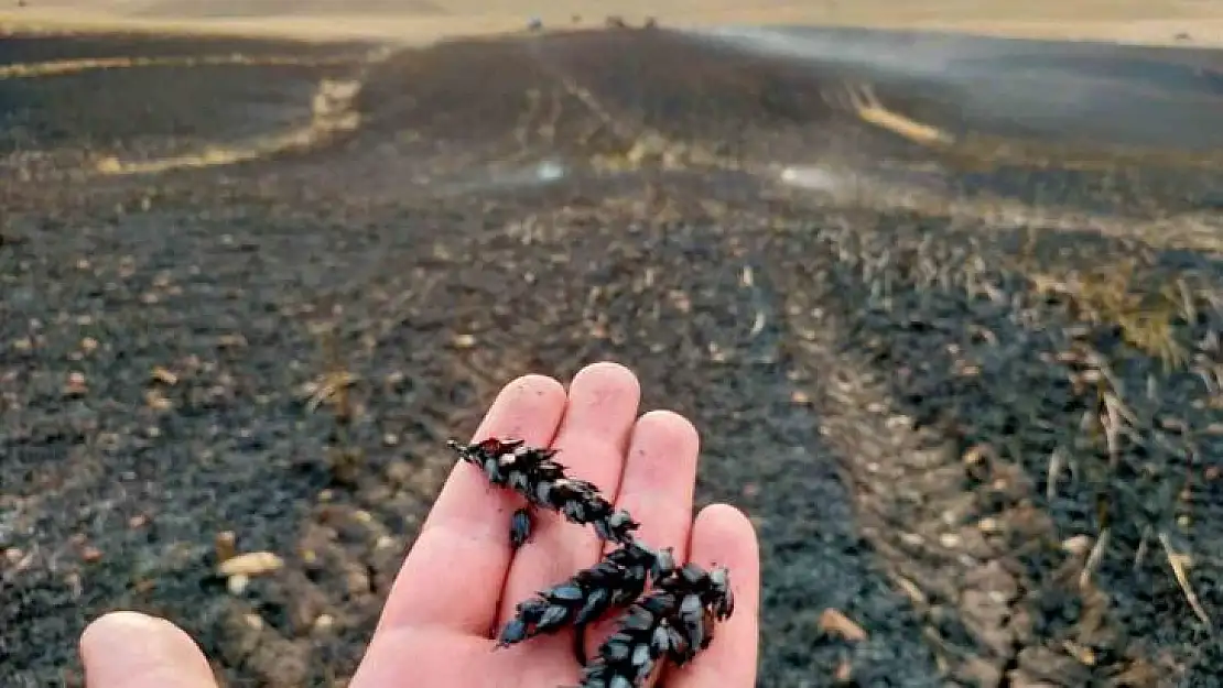 Diyarbakır'da ekin tarlasında yangın