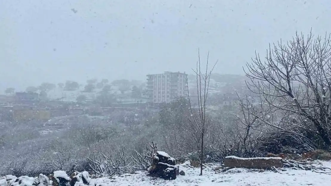 Diyarbakır'da etkili olan kar yağışı çiftçiyi hem sevindirdi hem de korkuttu