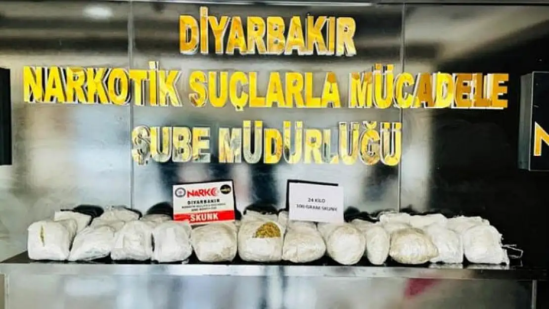 Diyarbakır'da gözaltına alınan 587 şüpheliden 44'ü tutuklandı