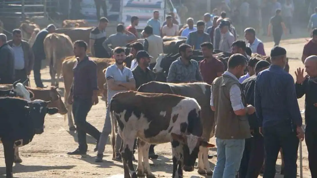 Diyarbakır'da işin ehlinden acemi kasap uyarısı