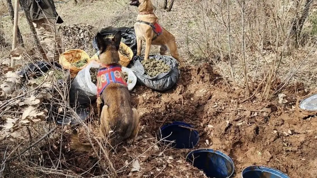 Diyarbakır'da jelikan bidon içerisine saklanmış 43 kilo esrar ele geçirildi