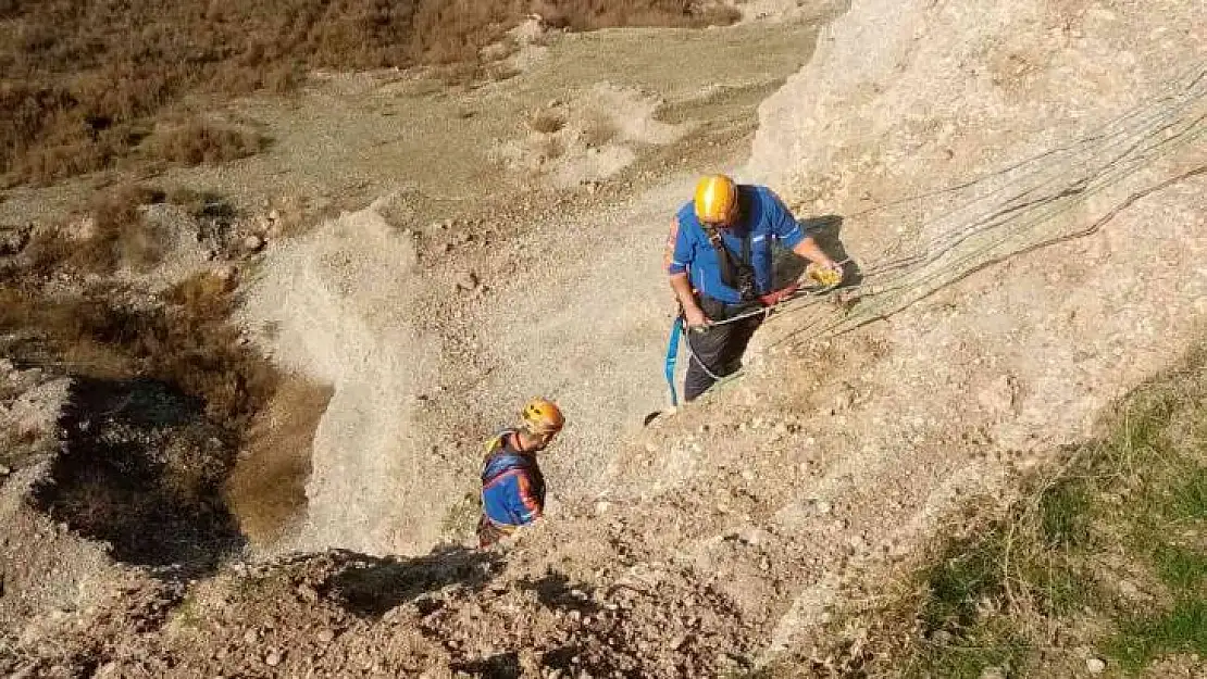 Diyarbakır'da mahsur kalan keçiler ölümün kıyısından iki gün sonra kurtarıldı