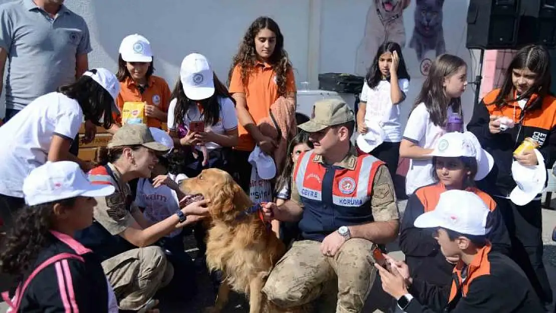 Diyarbakır'da öğrenciler hayvan bakımevini gezdi