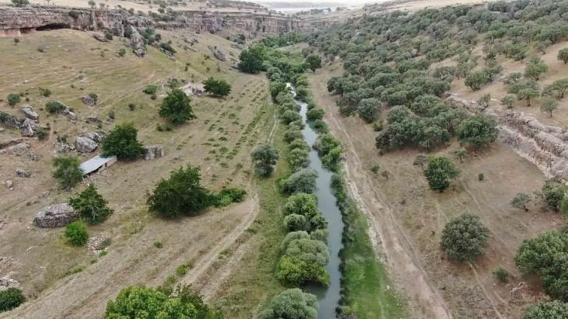 Diyarbakır'da sıcaktan bunalan vatandaşlar sulak ve serin yerleri tercih ediyor