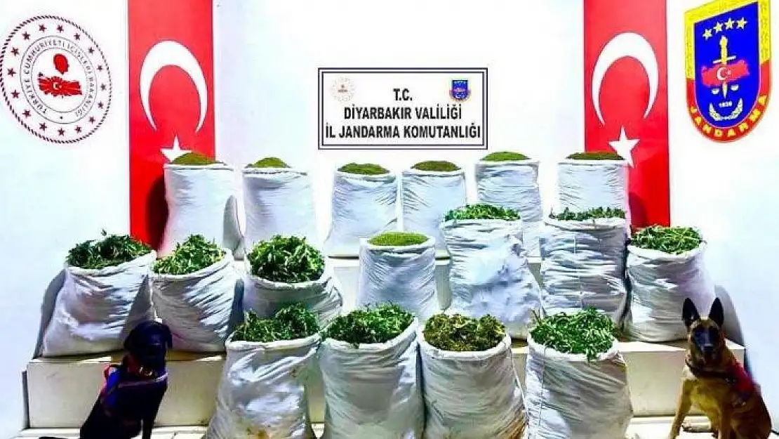 Diyarbakır'da uyuşturucu operasyonu: 285 kilo esrar ele geçirildi