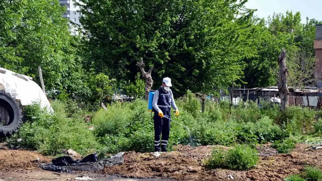 Diyarbakır'da vektörlere karşı ilaçlama çalışmaları sürüyor