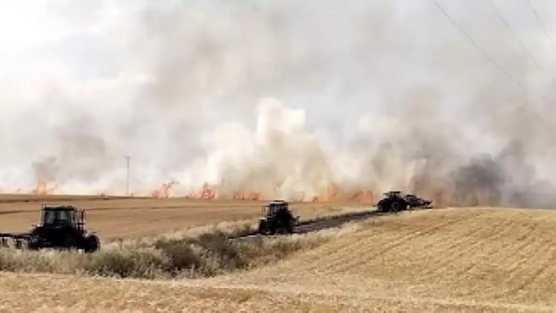 Diyarbakır'da yaklaşık bin dönümlük buğday tarlası küle döndü