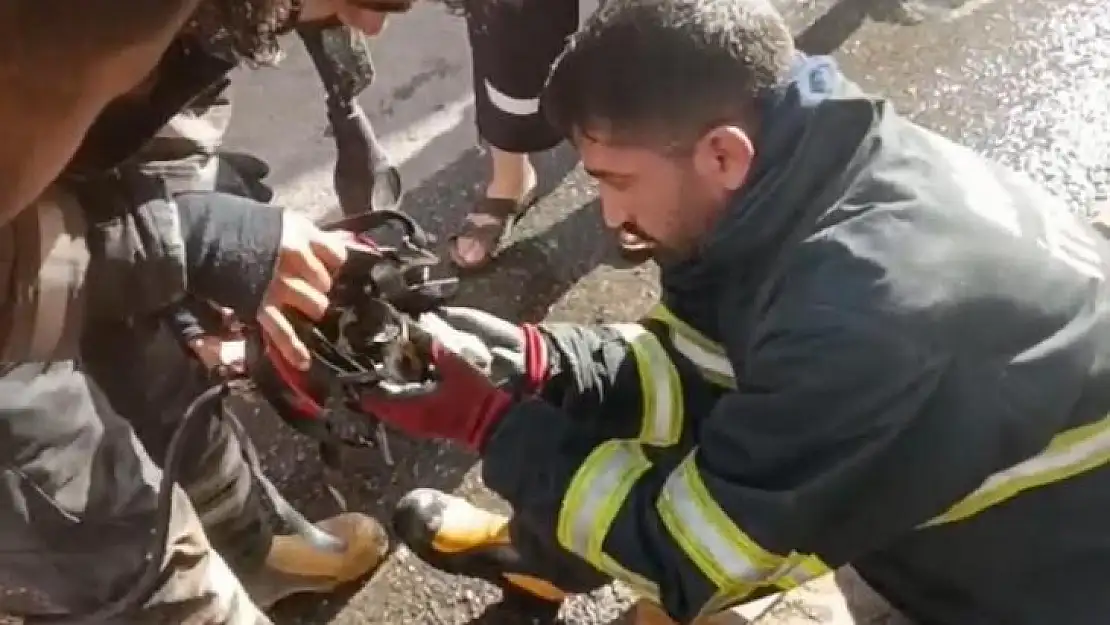 Diyarbakır'da yangından kurtarılan kediye oksijen destekli müdahale