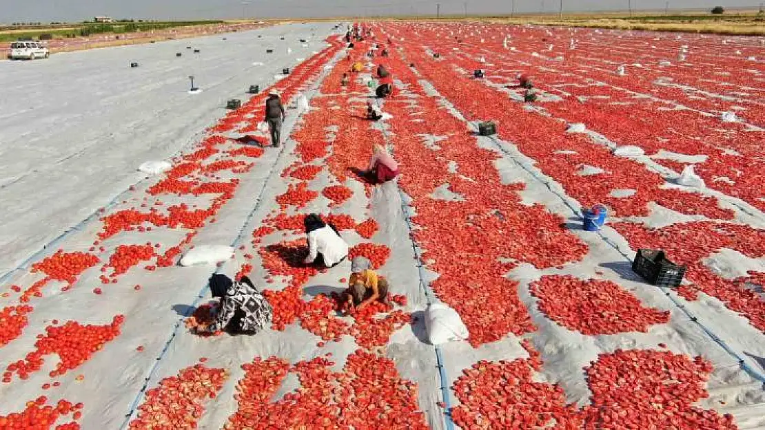 Diyarbakır'dan Avrupa'ya kuru domates ihracatı