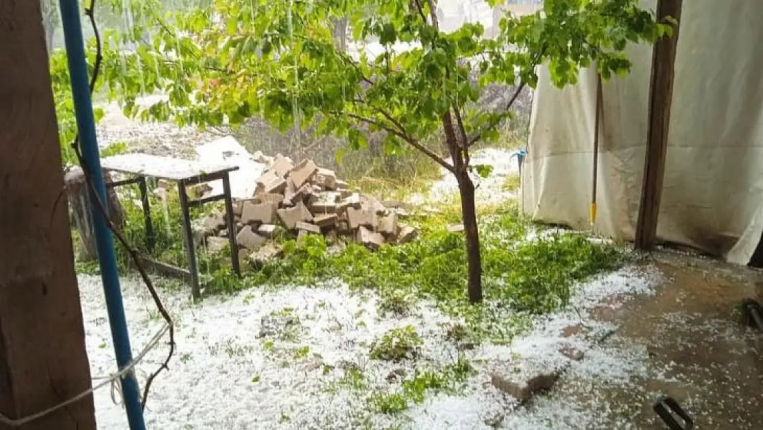 Dolu yağışı kayısıya zarar verdi