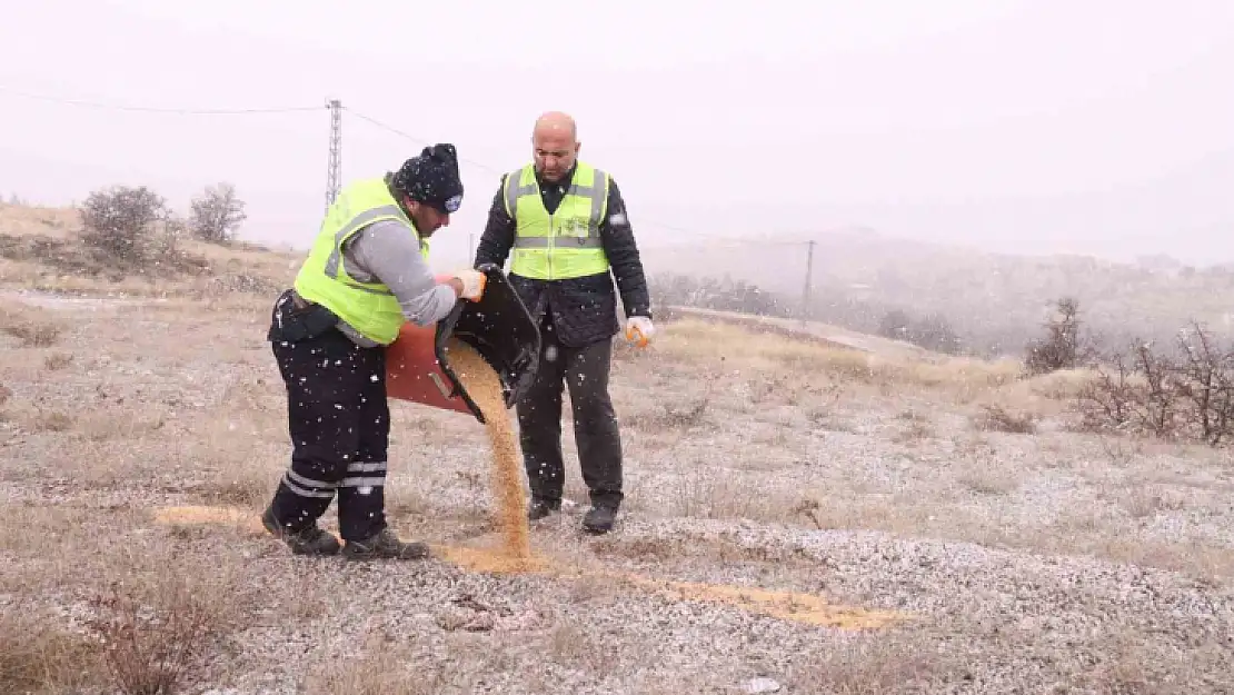 Elazığ Belediyesi yaban ve sokak hayvanları için çalışma başlattı