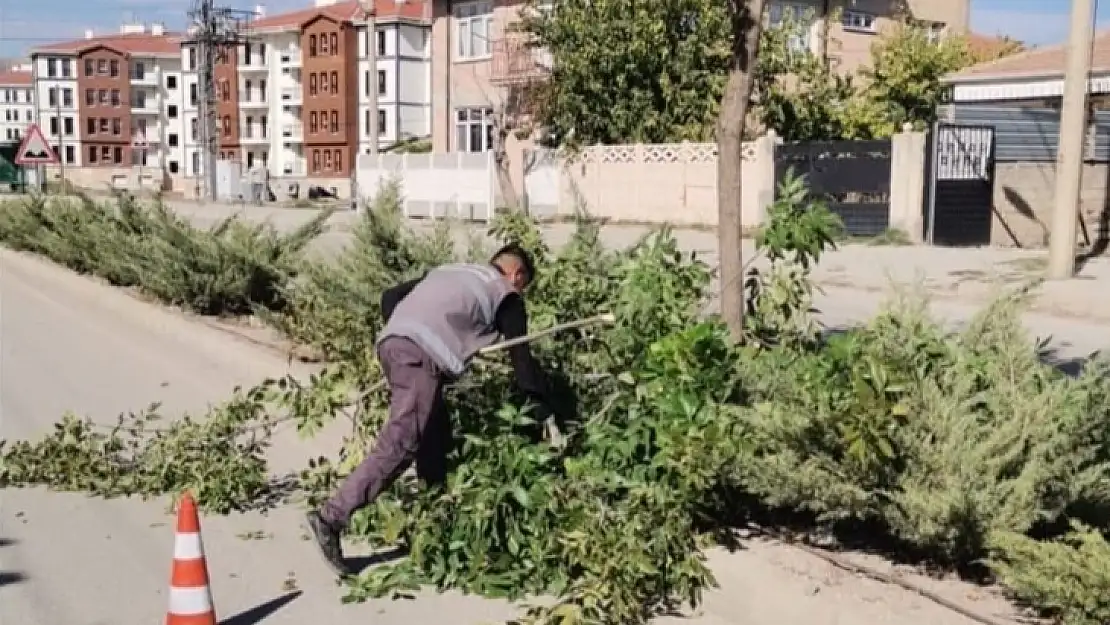 Elazığ Belediyesinden ağaç budama çalışması