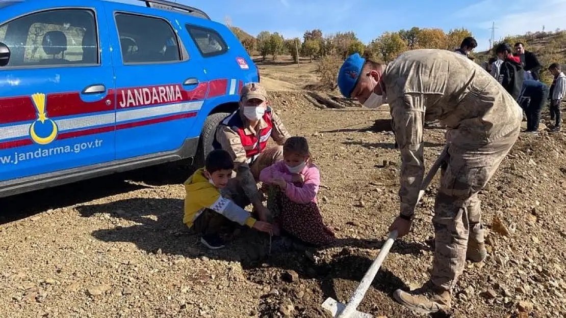 Elazığ'da jandarma ekipleri bir günde 8 bin 300 fidan dikti