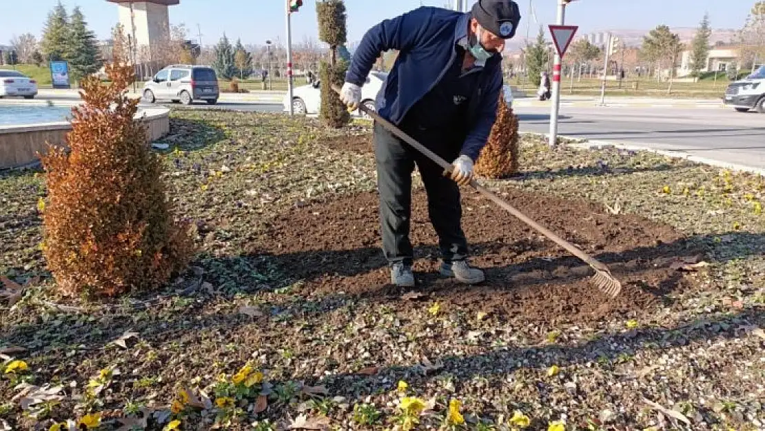 Elazığ'da 107 bin çiçek toprakla buluştu