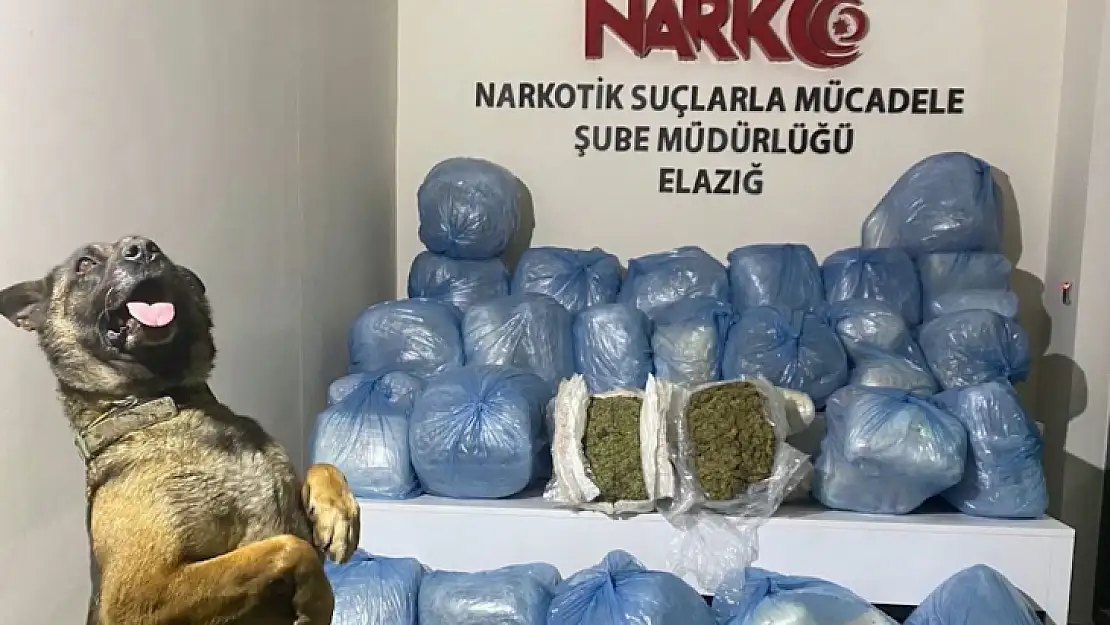 Elazığ'da 123 kilo uyuşturucu madde ele geçirildi: 11 tutuklama