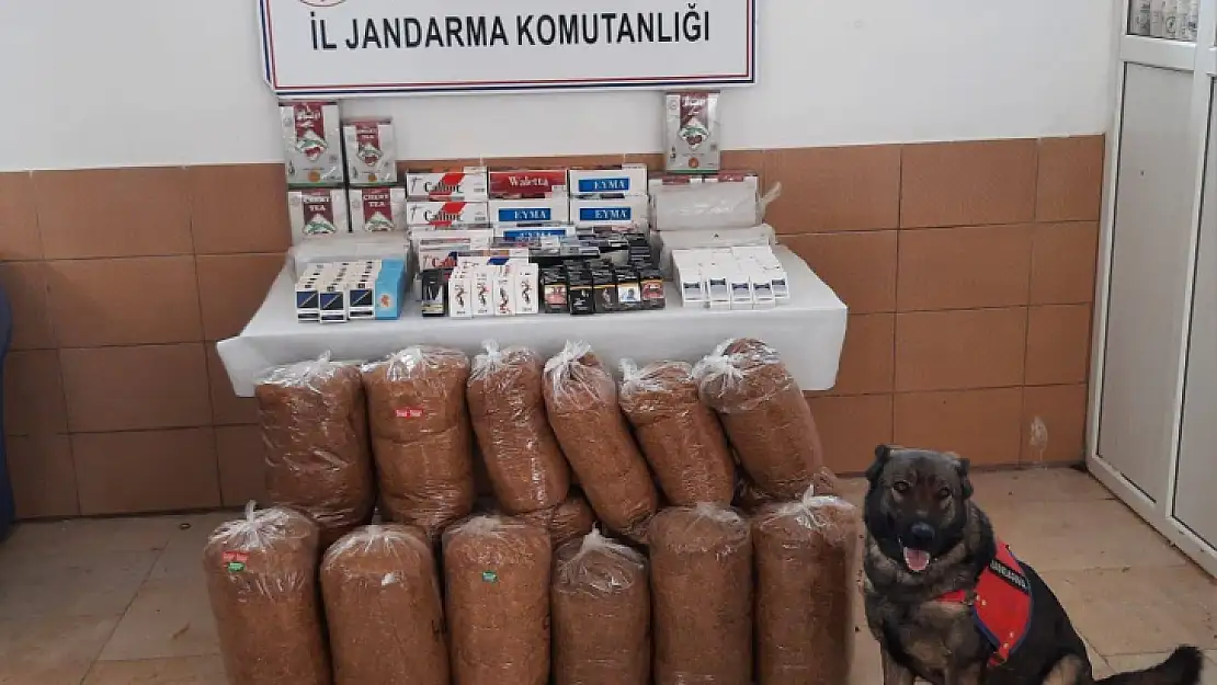 Elazığ'da 150 kilo kaçak tütün ele geçirildi