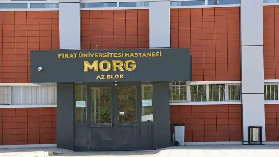 Elazığ'da araç şarampole yuvarlandı: 1 ölü