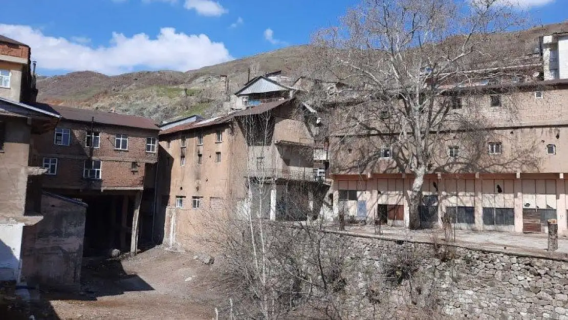 Elazığ'da bulunan 115 yıllık 'Dua çınarı' tescillendi