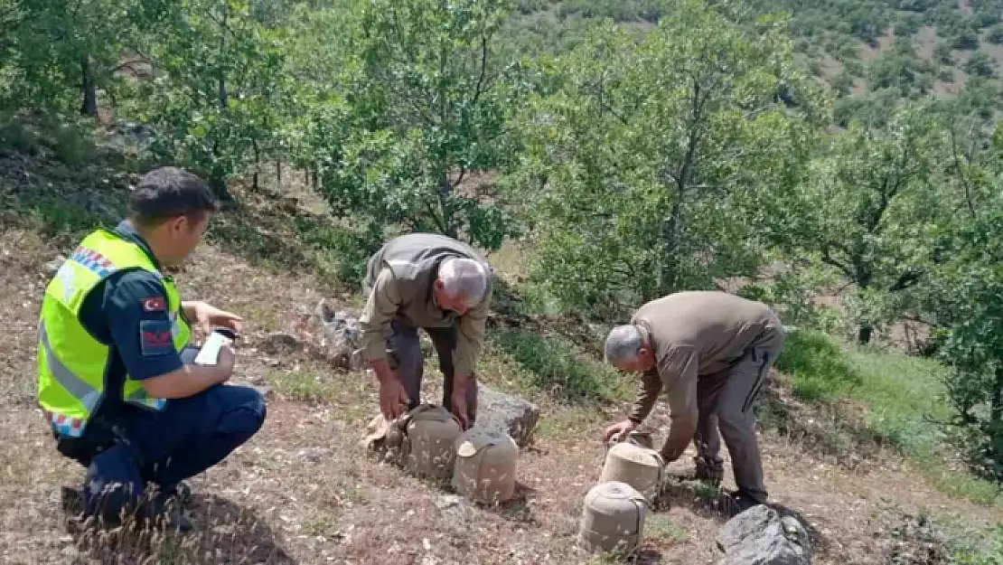 Elazığ'da yasa dışı avcılık yapan 4 kişi yakalandı