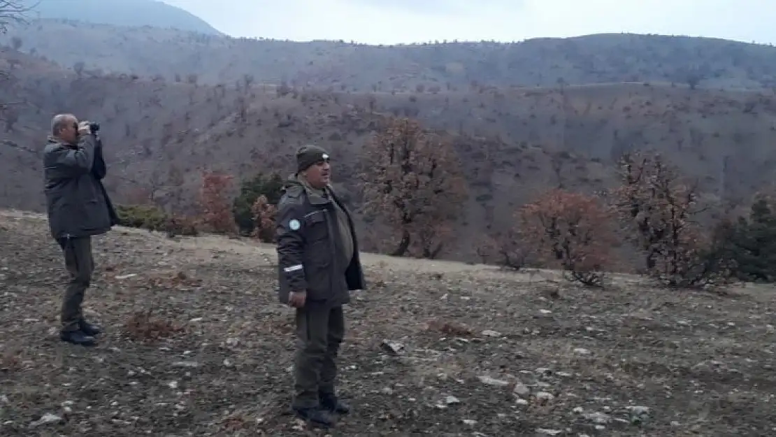 Kaçak avcılara göz açtırılmıyor