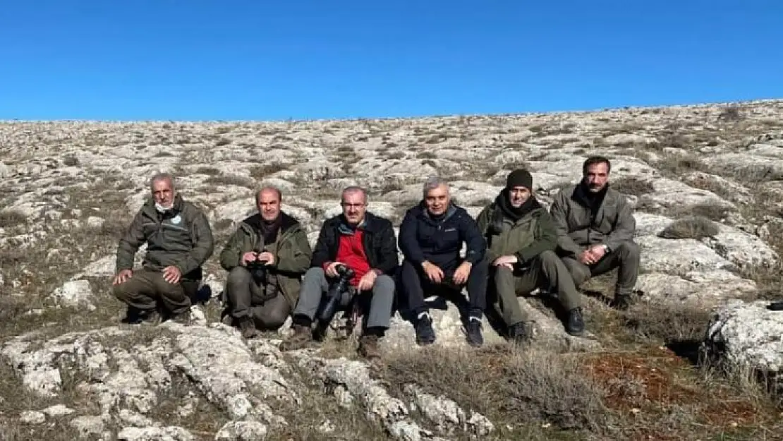 Elazığ Valisi Toraman, dağ keçilerini izleme çalışmasına katıldı