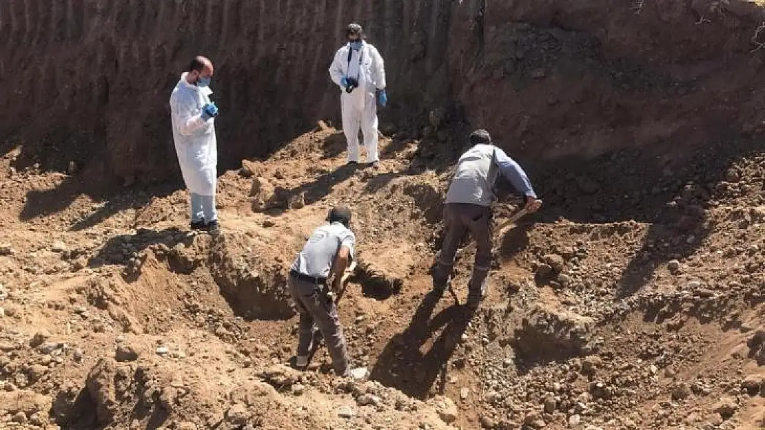 Eşini öldürdü ardından kayıp ilanında bulundu: Gerçek ise yıllar sonra ortaya çıktı