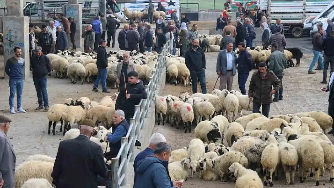 Et fiyatında düşüş bekleniyor