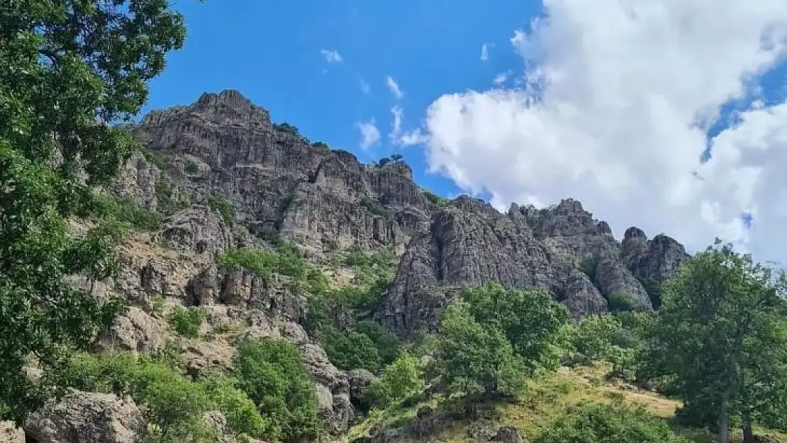 Kayalıklarda mahsur kalan vatandaş ekiplerce kurtarıldı