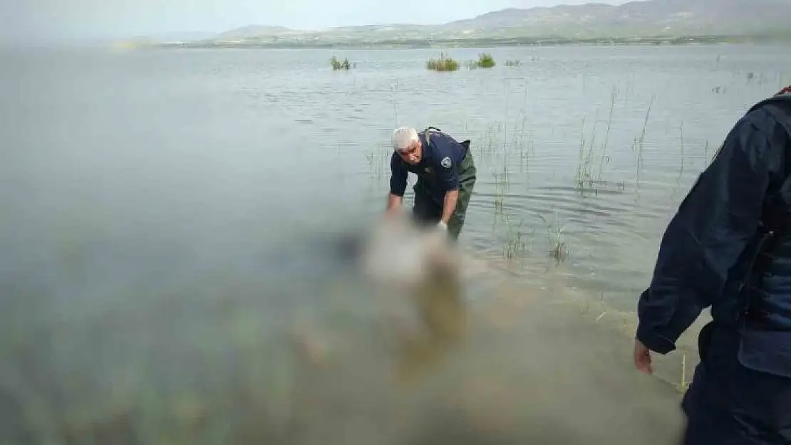 Kayıp olarak aranan şahsın cesedi barajda bulundu