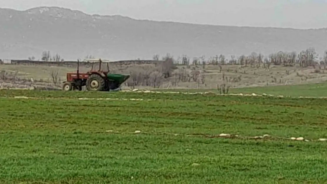 Kulp'ta çiftçiler ekinlerini gübrelemeye başladı