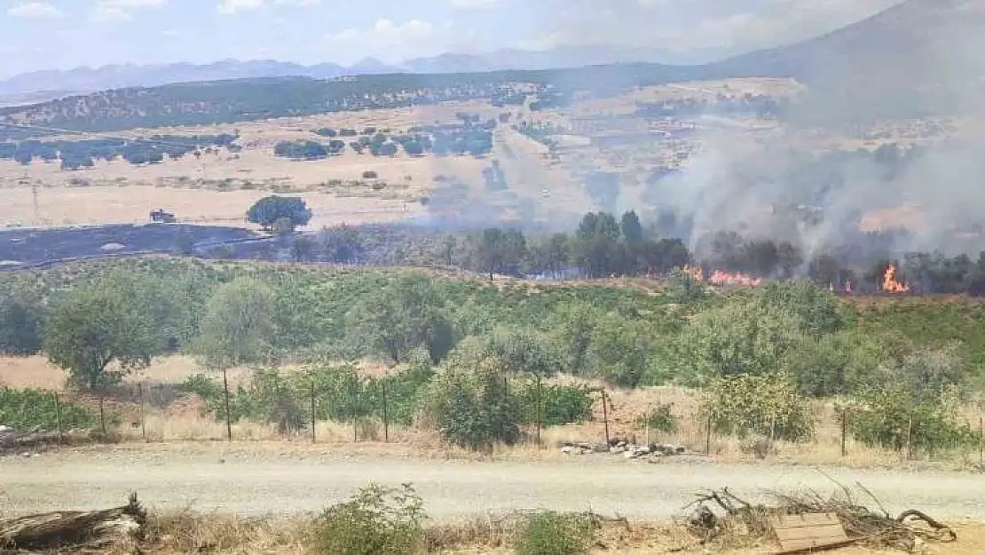 Kulp'ta üzüm bağları ve meyve ağaçları yangında zarar gördü